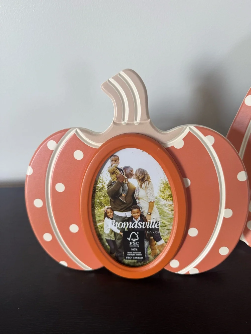 THOMASVILLE FALL ORANGE POLKA DOT PICTURE FRAMES SET 2 NEW